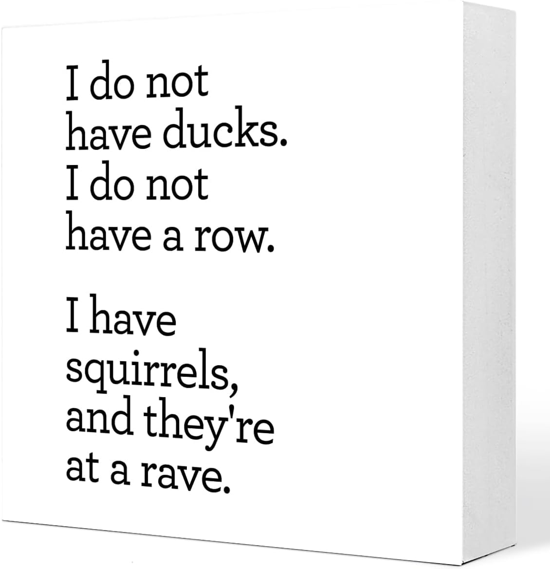 7x7 Inch Funny Box Sign Squirrels Quote Rustic Home Desk Decor