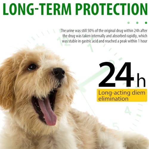 Hunde-Antibiotika, Antibiotika für Hunde, natürliche Antibiotika für Hunde, unterstützt Hundeallergie und Juckreiz, Hefe-Infektionsbehandlung für Hunde, Hundebedarf, Antibiotika, Speckgeschmack, 60 ml