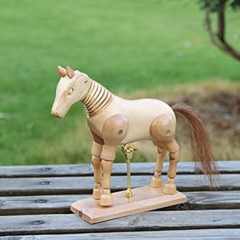 51y5JacgYjL._AC_UF350,