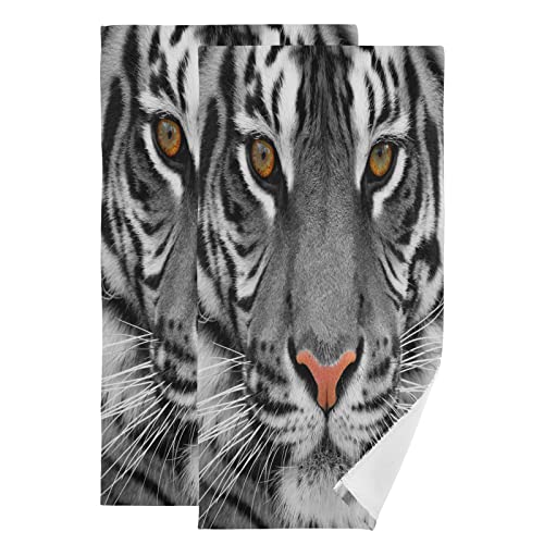 MASAI tFCX^I g Օ 2Zbg ӂӂ qpoX^I _炩G z  RۖhL Mtgp 76×38cm