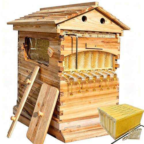 4 cadres flow automatiques kit de démarrage pour apiculture de jardin