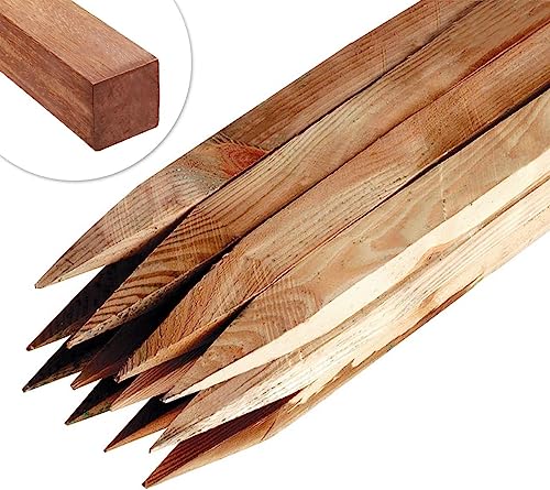 Circle of Trust Lot de 10 piquets de jardin en bois de 30 cm de long pour support de plantes et d'arbres – Bois traité sous pression – 2,5 cm d'épaisseur