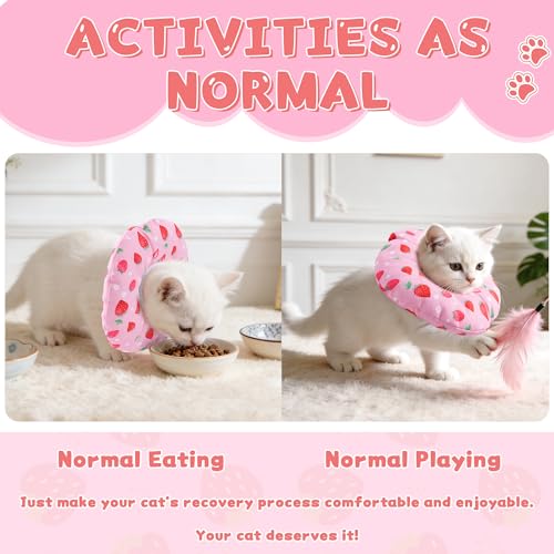 Collier conique doux pour chat pour un dodo paisible après la chirurgie - 5