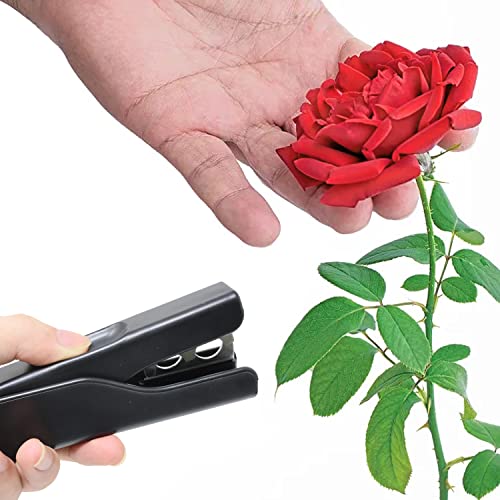 Herramienta para quitar espinas y hojas de rosas Honbay miniatura 5