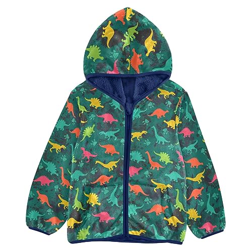 Dinosaurs Boys Fleece Hoody Jacket Zip Up Coat Warm Fall Winter Plush Jacket Long Sleeve Outerwear