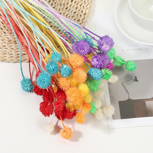 Flores Secas Mini Pine Ball de 40 cm, 60 piezas miniatura 4