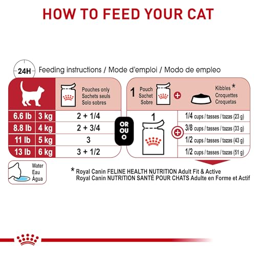 Royal Canin Feline Health Nutrition Adult Instinctive Adult Chunks in Gravy Cat Food, 3 oz (Pack of 12)