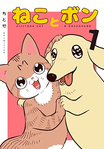 ねこねこページ Amazon.co.jp: ちとせ: 本、バイオグラフィー、最新アップデート