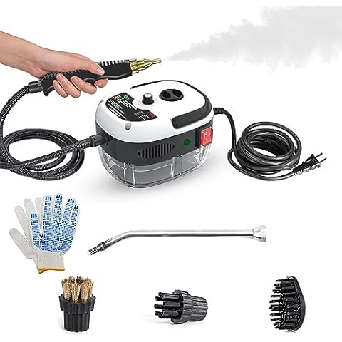 Ailgely Steam Cleaner,2500W High Temperature Pressurized Steam Cleaner,Portable Steam Cleaning Machine,10S Fast Heating,with 3 Brush Heads Cover