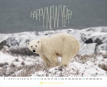 Amazon | 「しろくま」丹葉暁弥 2025年＜卓上＞カレンダー