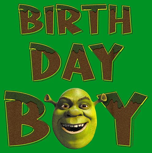 Boy's Shrek Birthday Boy Shrek T-Shirt2
