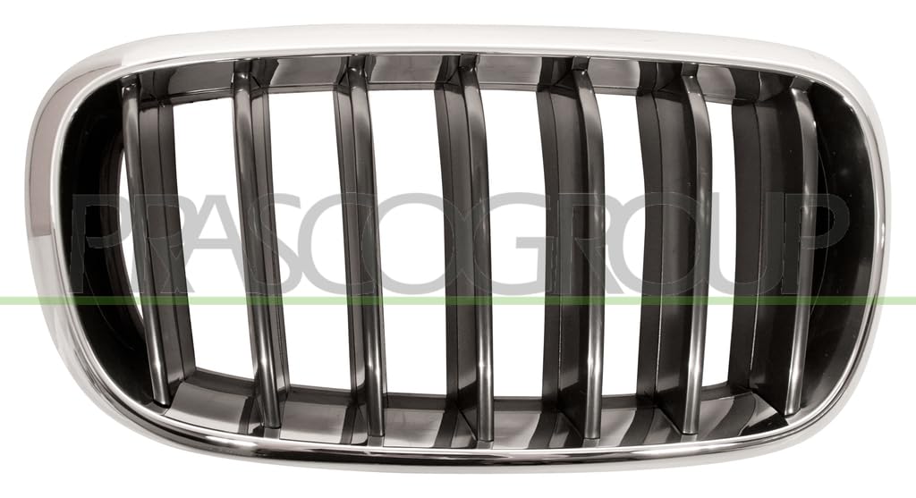Prasco BM8262003 griglia anteriore spoiler
