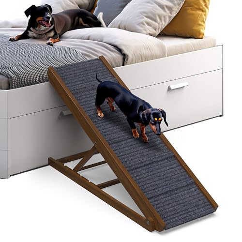 10 Best Dog Ramps For Dachshunds