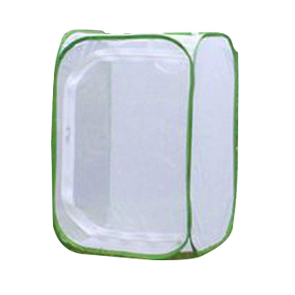 Lichtdoorlatende insectenkooi net vlinder habitat kooi plant kas tent opvouwbare beschermkooi vlindertuin (maat: L, 60 x 60 x 90 cm