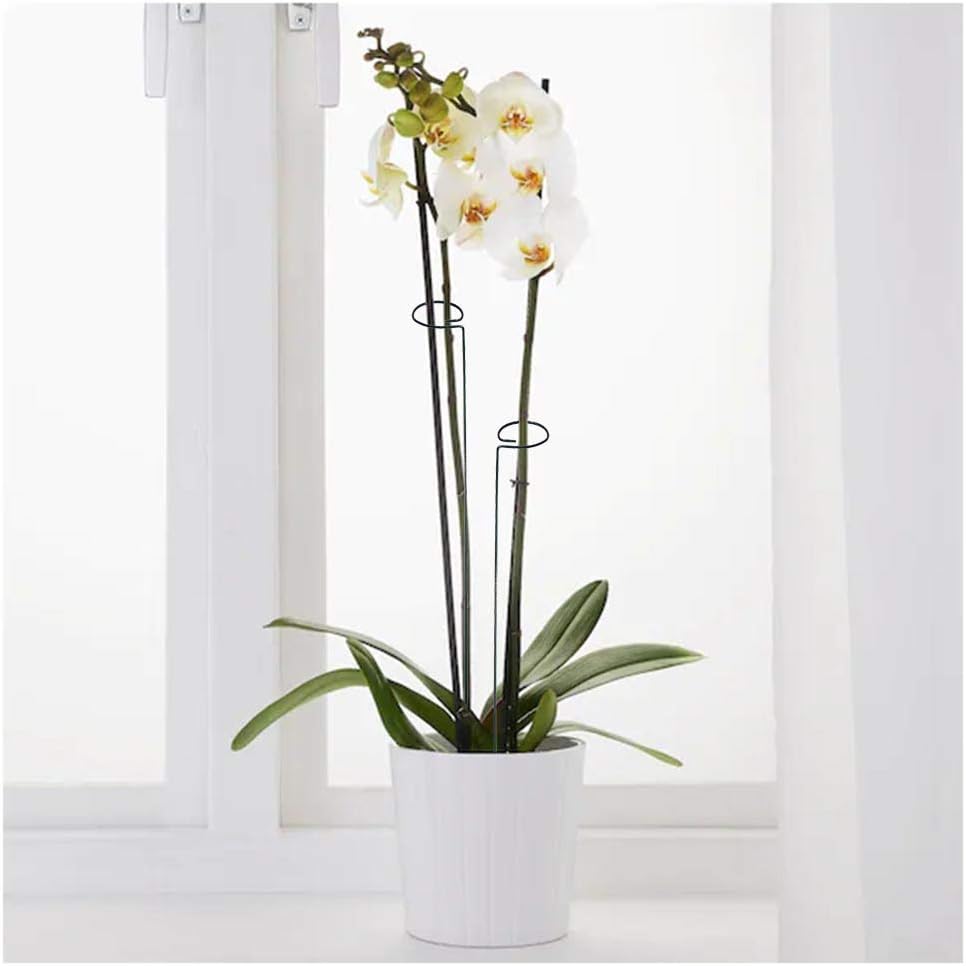 20 Pieces 24 inch Green Single Stem Plant Stakes Flower Support Rings,Gardening Planter Cages for Single Stem Flowers, Amaryllis, Peony, Lily,Narcissus