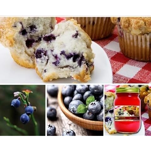 The Candle Cottage MJ104 Mason Jar Candle, 15 Oz (Baker's Secret) Cover