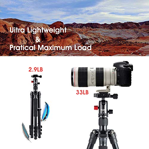 MACTREM Tripod DSLR SLR Tripod, 62.5" Light-Weight Aluminum Alloy Camera Tripod Phone Tripod with Phone Holder, 360 Degree Ball Head, Detachable Monopod, 34lbs Load with Carry Bag, Black - Thumbnail 3