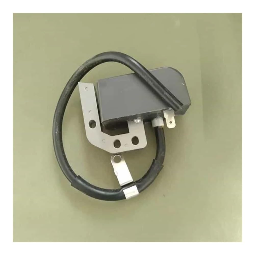 Bobine d'allumage G3000T avec stator pour entretien de moteur d'élagueuse