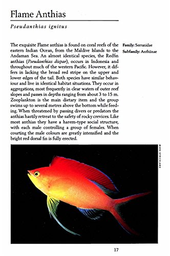 Handy Pocket Guide to Tropical Coral Reef Fishes (Handy Pocket Guides) - Image 6