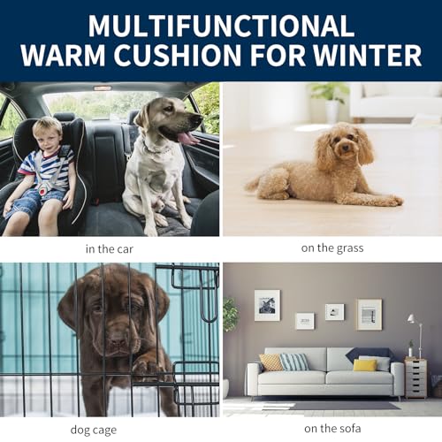 Vejaoo Hundebett Hundematte Weiche und warme Matte Hundekissen für Hunde und Katzen Sofa für Heimtiere XZ014 (Short Plush Grey, XL (100X70CM))