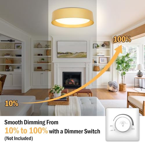 Image of Flush Mount Ceiling Light, 16in Modern Ceiling Light 5 Color Temperature