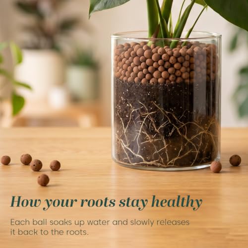 Image of Kyari LECA Balls for Plants 1.8 Kg / 6 Liter - Clay Balls for Indoor Plants, Hydroponics & Soilless Gardening - 8-15 mm Lightweight Clay Pebbles for Aeration & Drainage - 100% Natural