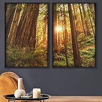 2 Piece Framed Canvas Wall Art Sunrise in The Trees Canvas Prints Home Artwork Decoration for Living Room,Bedroom - 16