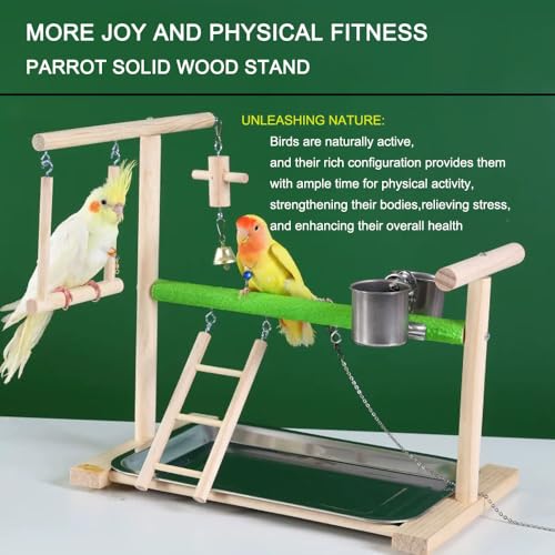 Image of Bird Playground,Equipped with Detachable Tray and Feeding Cup,Parakeet Playground,Great Friction for The Health of Birds,Bird Perch Stand