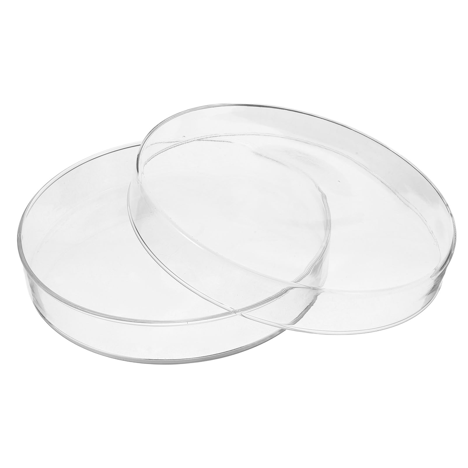 Platos de Petri de Vidrio Borosilicato Reforzado Pulg para Celular y Microbiología Diseño Grueso Resistente Choques Térmicos para Investigación y Educación Científica