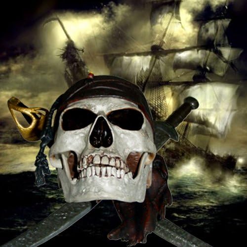 クリスマスファッション Disney パイレーツオブカリビアン 非売品 ドクロ スカル型 Usb コレクション Opuyfibqaf