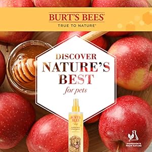 Burts bees for pets naturally derived waterless shampoo spray with apple and honey  dry dog shampoo for all dogs and puppies  cruelty free 10 ounces  2 pack   cucciolini doodles