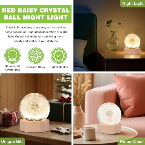 Image of Blue Daisy Lamp,2.4-Inch Flower Crystal Ball Night Light, Real Daisy Inside with Wood Base, Warm Bedroom Glow (Blue Daisy)