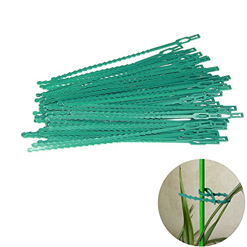 Exttlliy Plastic Reusable Adjustable Garden Plant Twist Tie Gardening Flexible Vines Tie for Garden Home Use Green (60Pcs)
