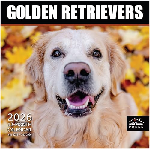 MICASA Golden Retrievers 2026 Wall Calendar 12 Month | 12"