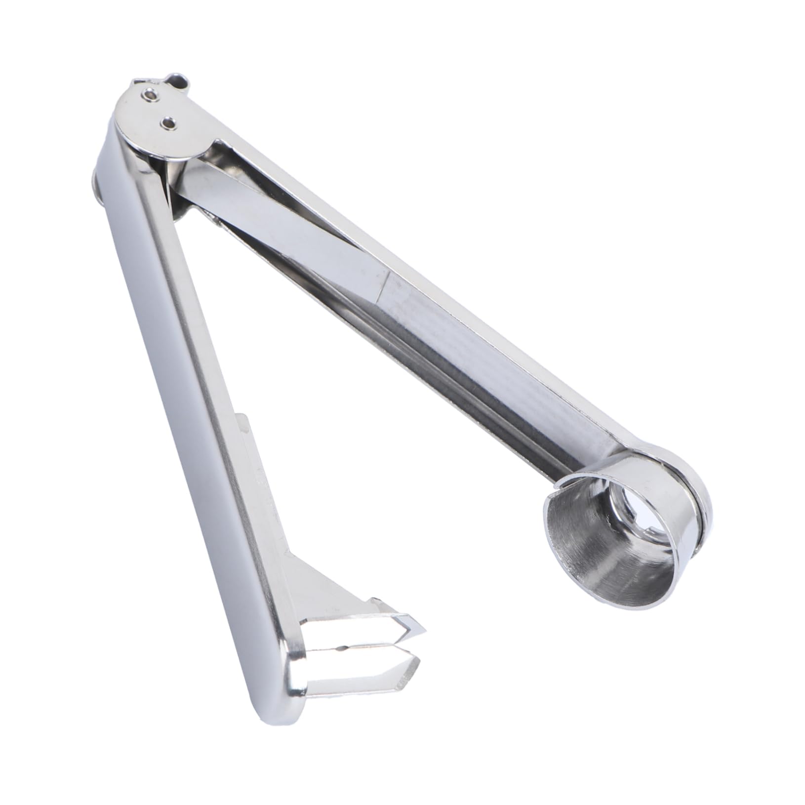 DECHOUS Fruit Corer Cherry Core Cherry Corer Pitter Kitchen Gadget Made of Stainless Steel Easy to Use and Clean