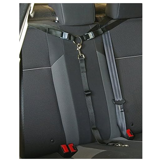 Paws 'n' Claws Tangle Free Dog Tether for Vehicle - Attaches Around headrest or Baby car seat Brackets - Adjustable Restraint K9 Lead Sedan Backseat Leash