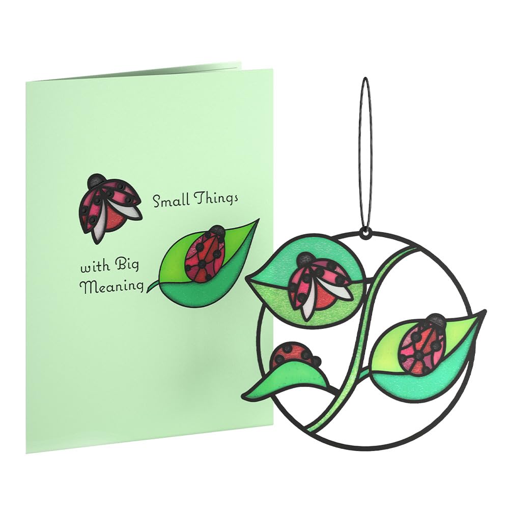 Lovepop Everyday Suncatcher Card for Her and Him - 3D Greeting Cards for Boys, Girls, Men, Women - Small Things with Big Meaning Ladybug - 5" x 7"