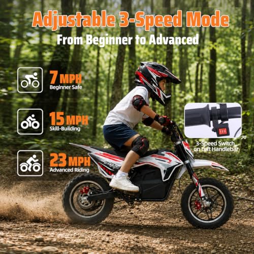 DEETAGO 36V 1000W Kids Dirt Bike