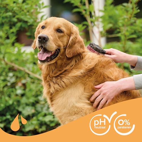 BEAPHAR - Essential Brown Peeling Hunde Shampoo - Extra fein - Glänzendes Fell - Enthält Manuka Honig und Aloe Vera - Parabene und Silikon - pH neutral - 250 ML