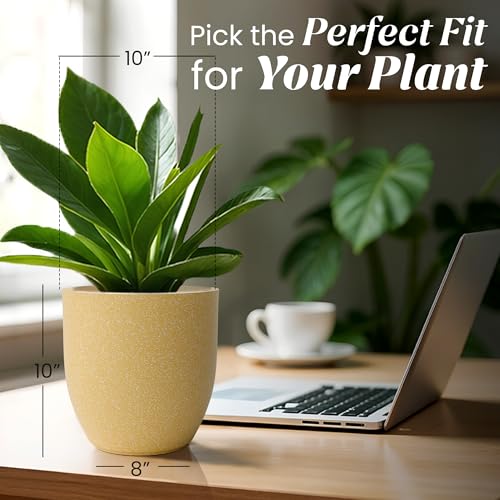 Image of YUCCABE ITALIA FOXB PCUP 10 INCH Pots for Plants Highly Durable Polymers Lightweight Indoor Outdoor Flower Pot Gamla Tree Planter Container Planters for Living Room, Balcony, Garden, Office