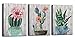 Canvas Wall Art Prints Watercolor Ball Cactus Cacti Green Plants and Flower Painting Pictures, Succulent Poster Artwork 12"x16" 3 Panels/Set for Bedroom Bathroom Spa Salon Kitchen Home Office Decor
