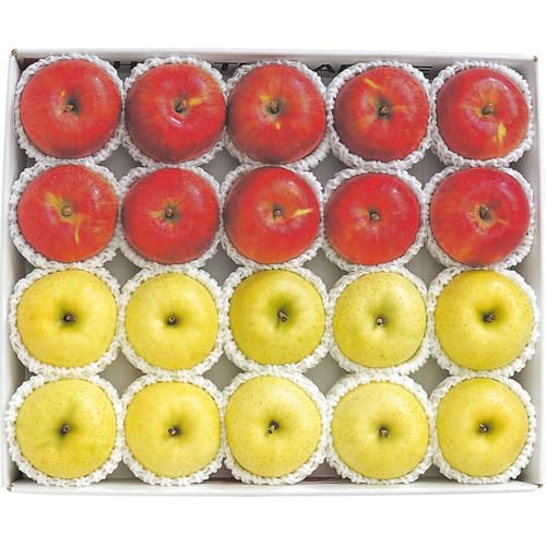 Ε Mtg  ʕ t[c lCi (XY Tӂ 5s)