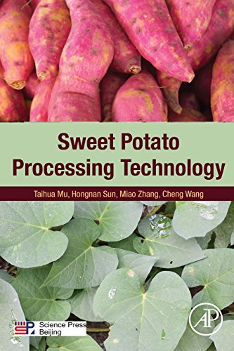 Sweet Potato Processing Technology view 2