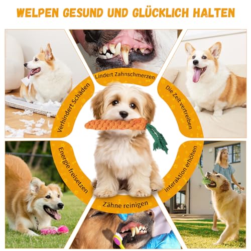 SUNFATT Hundespielzeug kleine Hunde,10 Stück Welpenspielzeug für kleine Hunde,Quietschspielzeug und Kauspielzeug Hundespielzeug Set,Waschbares Natürlicher Baumwolle & Ungiftig