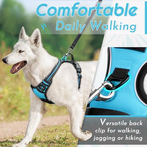 Image of Eagloo Dog Harness for Small Dogs, No Pull Pet Vest with 2 Leash Clips