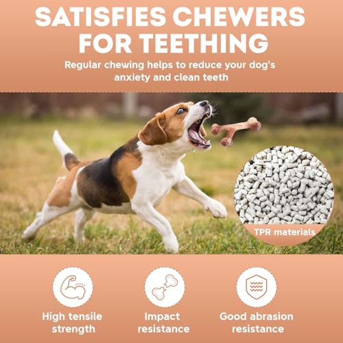 Hundeknochen Unzerstörbares Kauspielzeug für Hunde, die es lieben zu kauen, langlebige Nylonknochen, Welpenspielzeug, Zahnreinigung, für mittlere und große Haustiere (Y-förmig) – Bild 5