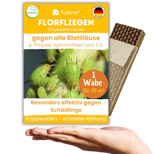 Futeco Florfliegenlarven gegen Blattläuse Spinnmilben Thripse & Co. - Wabe für besonders schnellen Effekt - 1 Wabe für ca. 20 m - starke Wirkung bei Gemüse- Cannab.- & Zierpflanzen