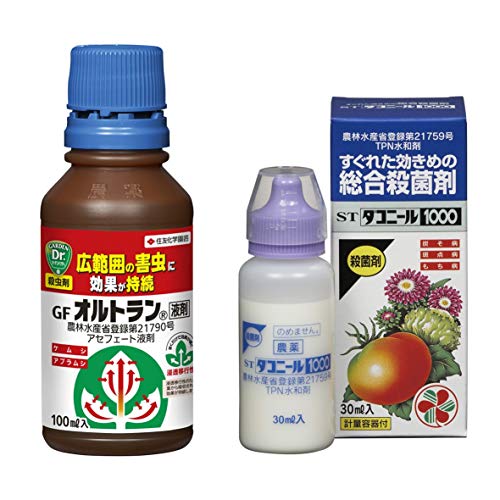 yZbgz ZFw| E GFIgt 100ml & Eۍ ST_Rj[1000 30ml
