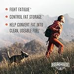 ROUNDHOUSE PROVISION Three Hit Combo by Chuck Norris – Fat Burner, Energy Booster & Wellness Support – 30-Day Supply (60 Capsules) - Image 2