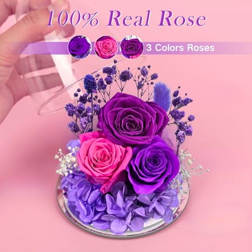 ASTRYAS Rosa Preservada con Ángel en Vidrio miniatura 4